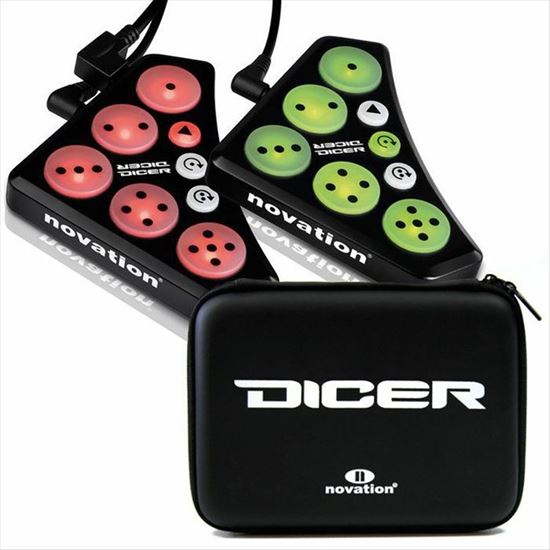 Immagine di DICER controller