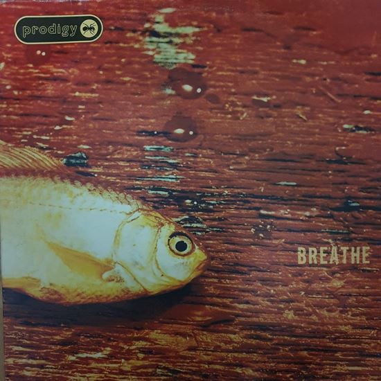 Immagine di PRODIGY - BREATHE