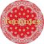 Immagine di TECHNICS SLIPMAT PAISLEY 3