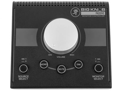 Immagine di Big Knob Passive