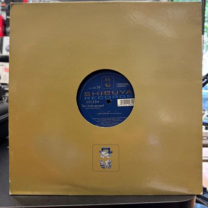 Immagine di VINILE CELEDA - THE UNDERGROUND