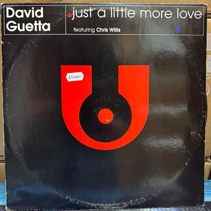 Immagine di David Guetta - Just a little more love