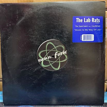Immagine di The lab Rats pres. The experiment feat. Lisa Millet - Music is my way of life