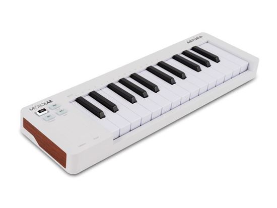 Immagine di MICROLAB MK3 white