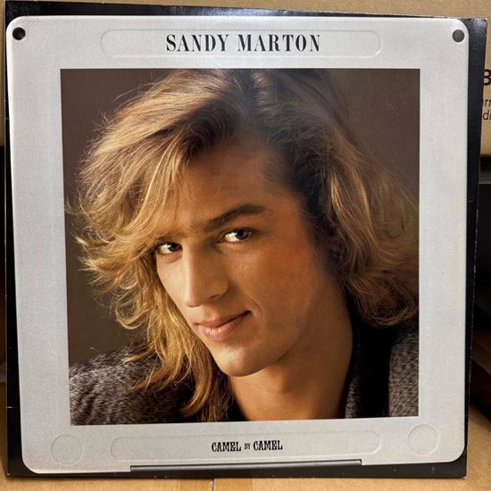 Immagine di SANDY MARTON - CAMEL BY CAMEL (VINILE DISCO MIX 12")
